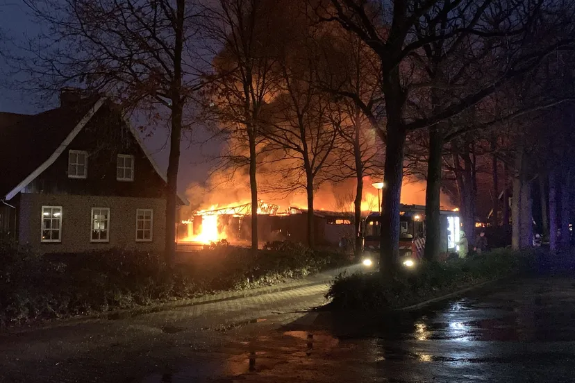 076ed4a2 2d39 4ad1 8b55 109d7ceb7c4e