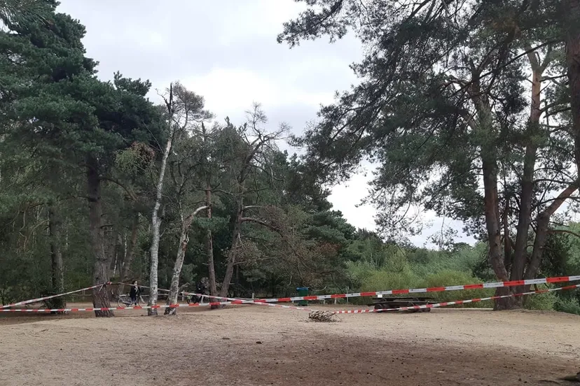 119360229 3474668259251693 3736689227744975958 o