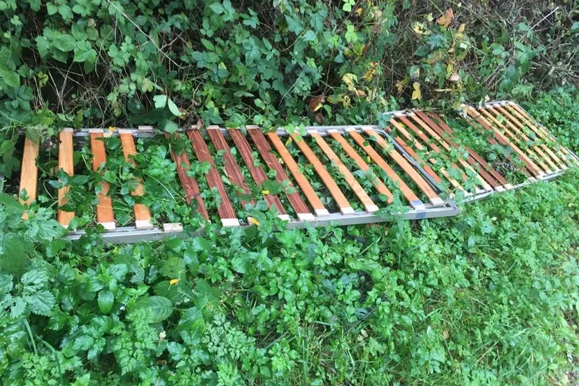 120333919 3536262186405748 590089875945586398 o