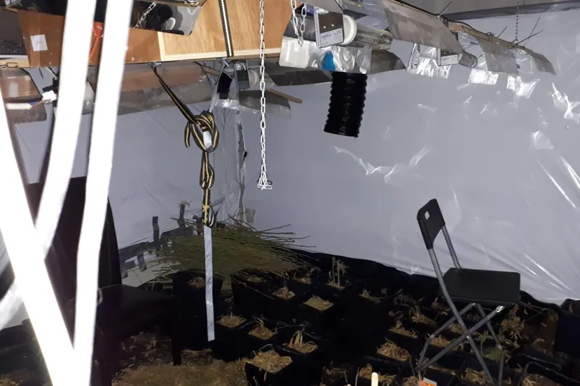 121009249 3550875741630944 7315912242306851820 o e1602006142250