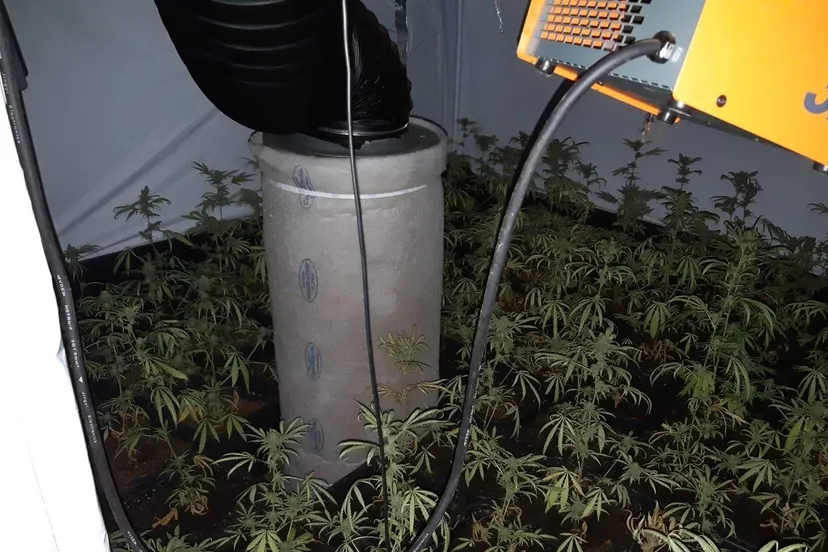 122457780 3596881320363719 4204188813132836773 o e1603386143814