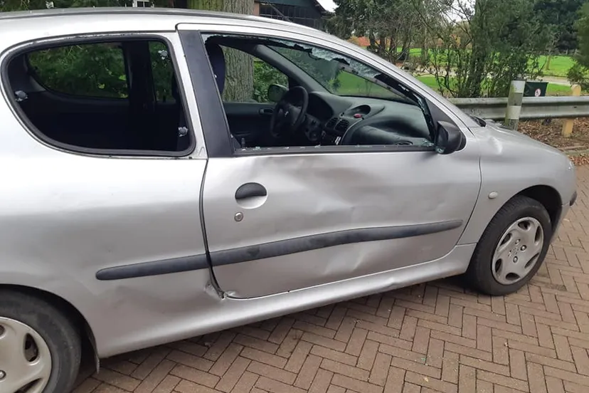 123193757 365889118180527 6135142072461217144 n