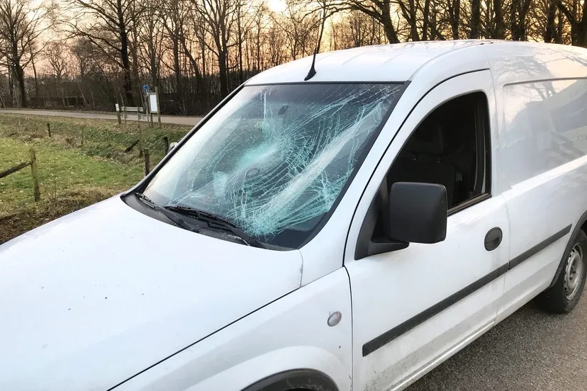 18020765 21811 newsunited