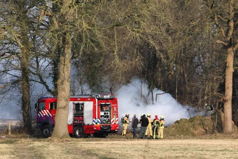 18030040 22181 newsunited e1520069718191