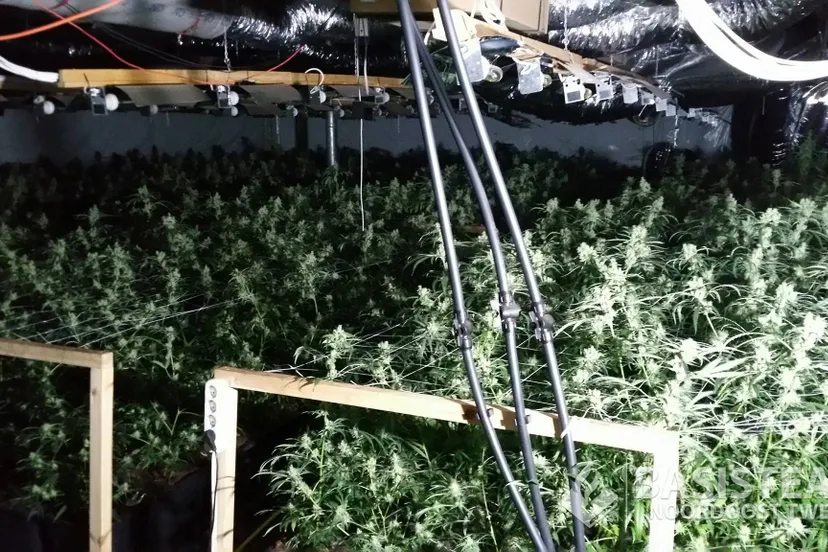 19221539 1491237230928149 6162883133475366791 o