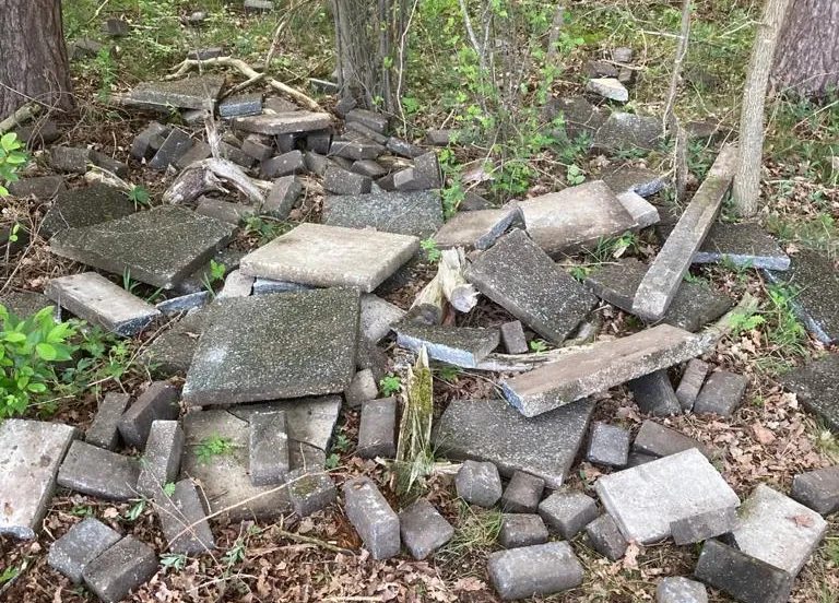 193639254 4222837084434803 892406045525854890 n