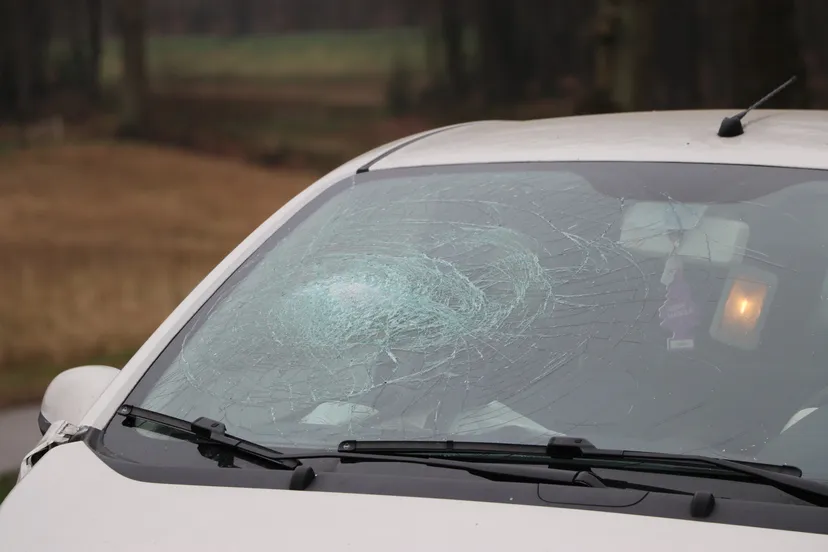 20180412093608 img 1958