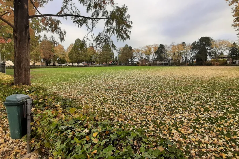 20201027 092341 resized