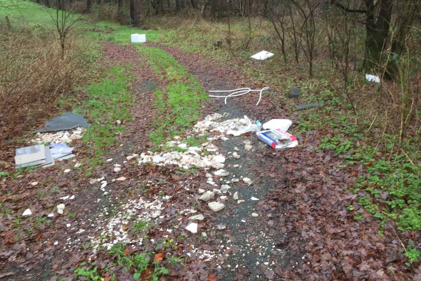 26172108 1600040166755151 5376626005263032253 o