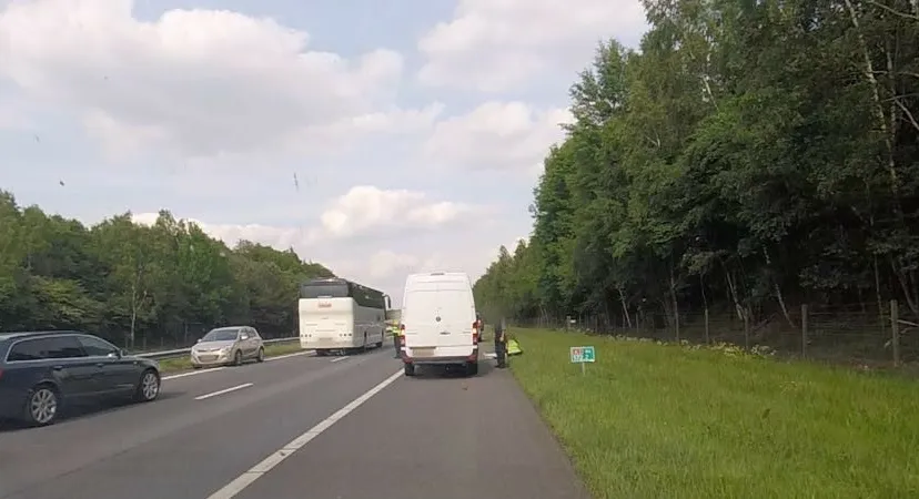 32462808 1823466641038538 7009043708293152768 o e1526239976567