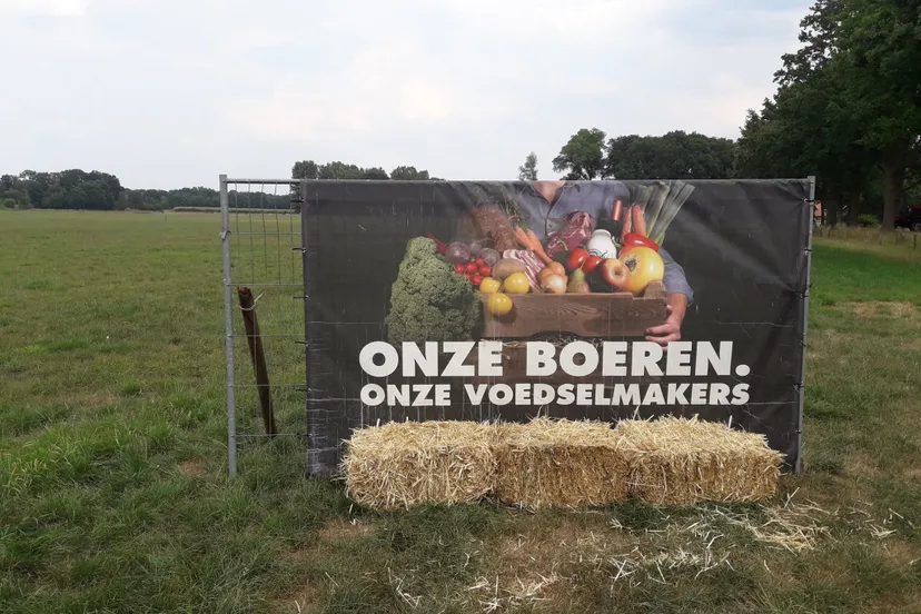 37631587 247834645825113 4382888373220540416 o