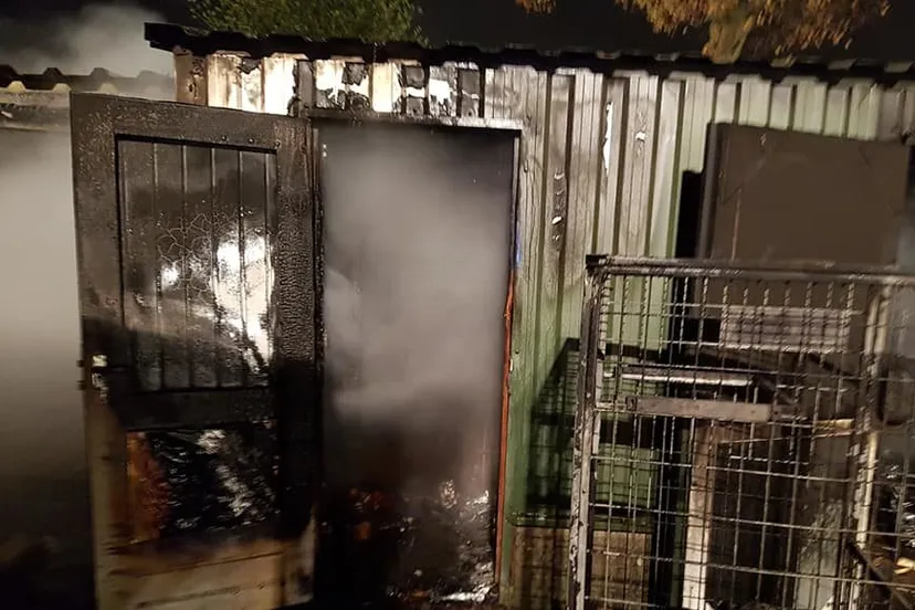 46673245 2094721270579739 3619387357158965248 n e1543043212491