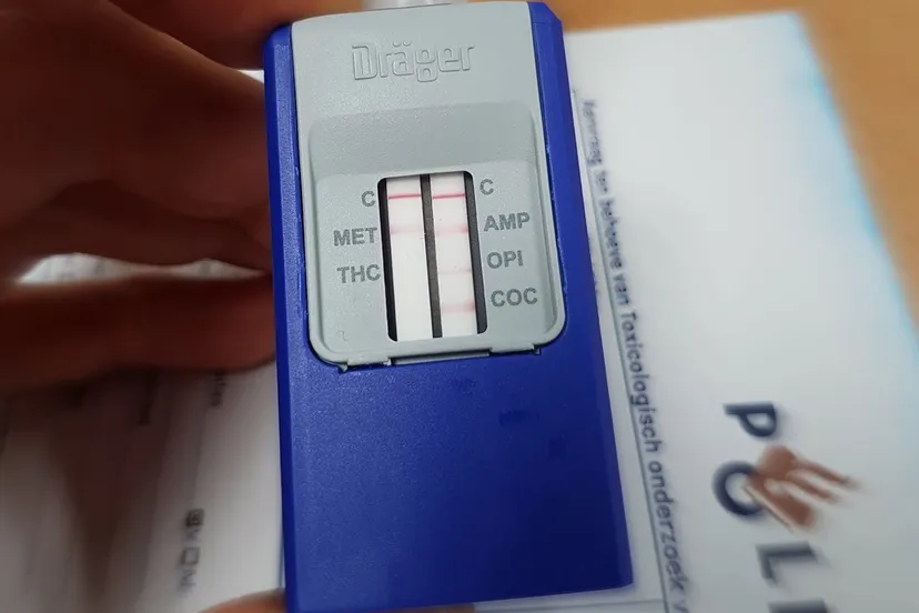 49658146 2164353636949835 3439032158457430016 o e1547206180788