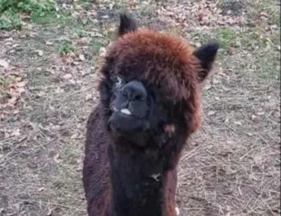 50091260 2305887926291571 2158176342745546752 n