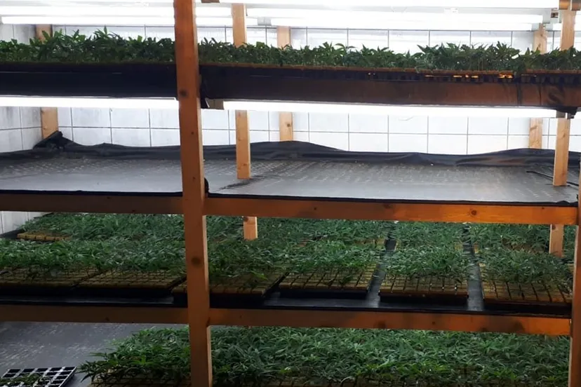 50601087 2186184058100126 6593483116776521728 o e1548522817123