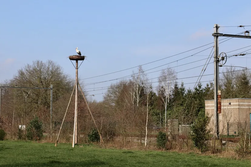 562c6392 84cf 4e1b 93cd e0b4c6a25089