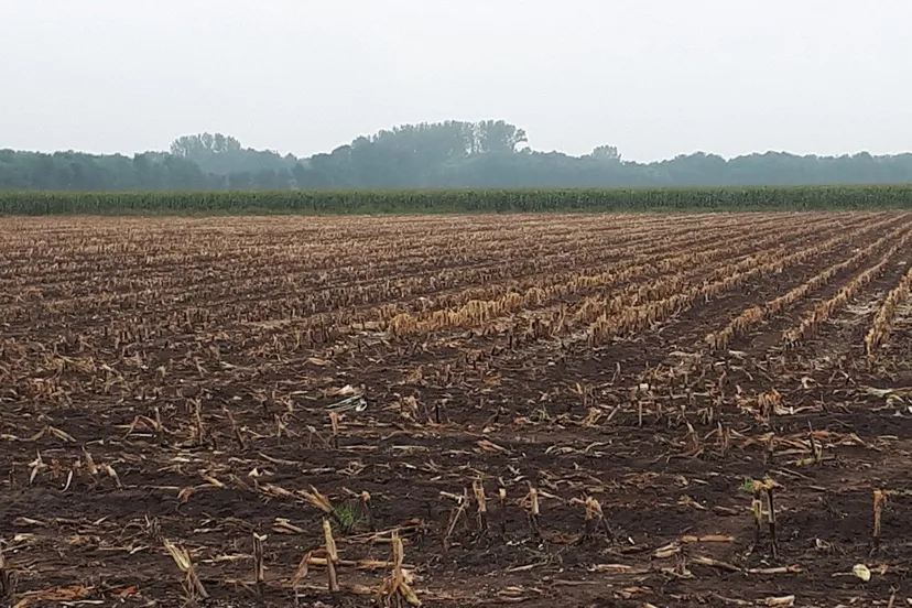 70711895 2458063090943302 7737587500201279488 o e1569316410708