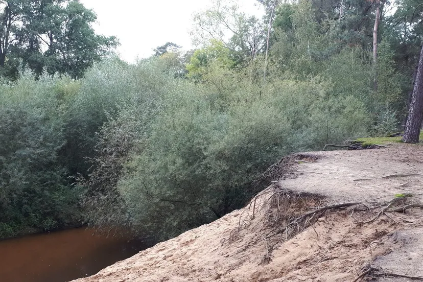 71933272 2487065451376399 9002880471851335680 o e1570371770287