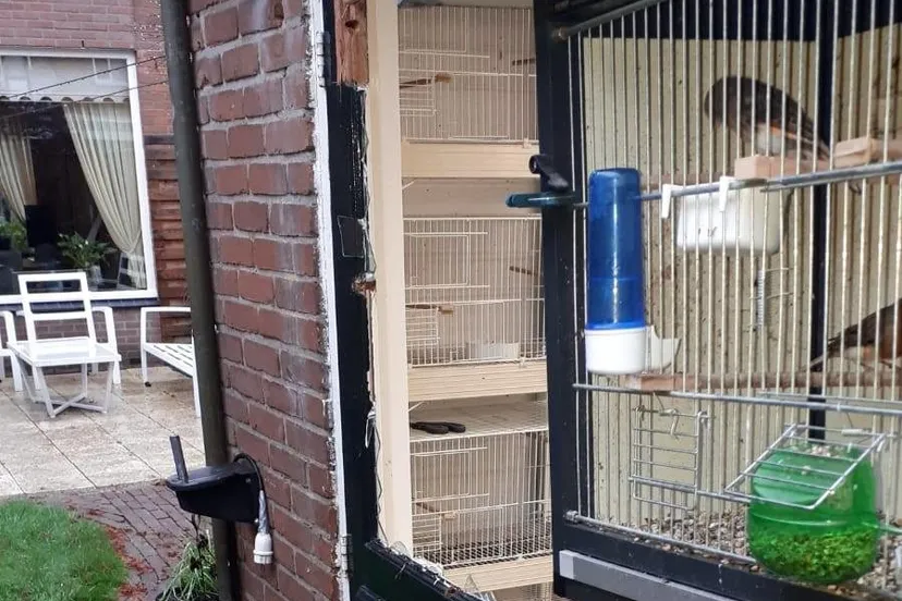 78056871 2717803878271472 532740781253853184 o e1574095361630