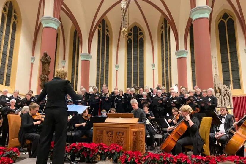 78232441 2660334290722641 2611980225008893952 n