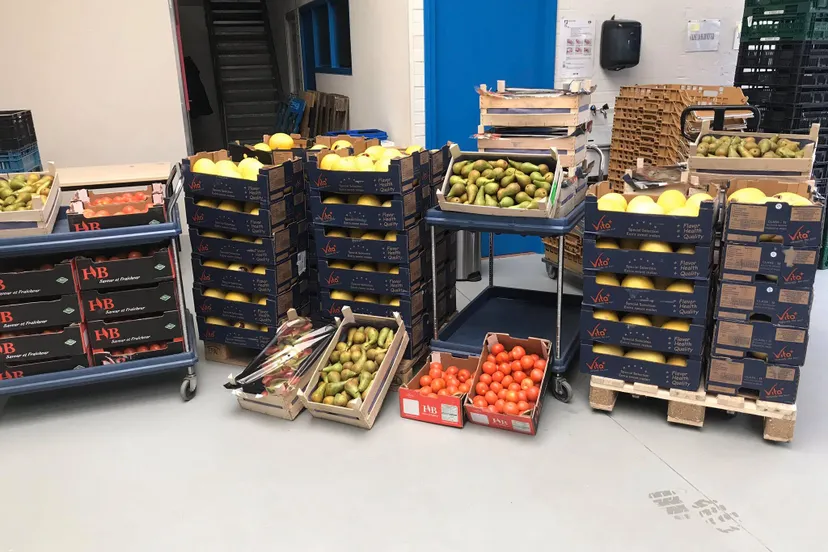 90118708 130331991865833 8013805900798099456 o