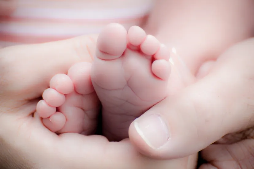 adorable baby baby feet 266011