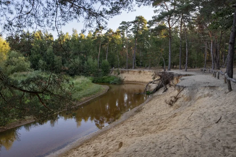 erosie langs de oever van de dinkel at marco van de burgwal staatsbosbeheer