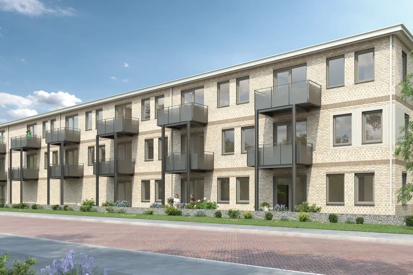 losser v2 standpunt2