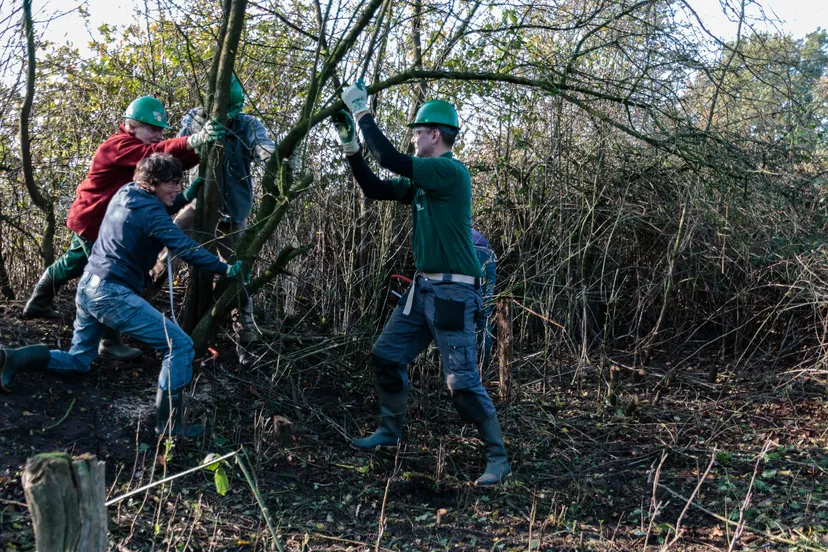 natuurwerkdag henny de joode