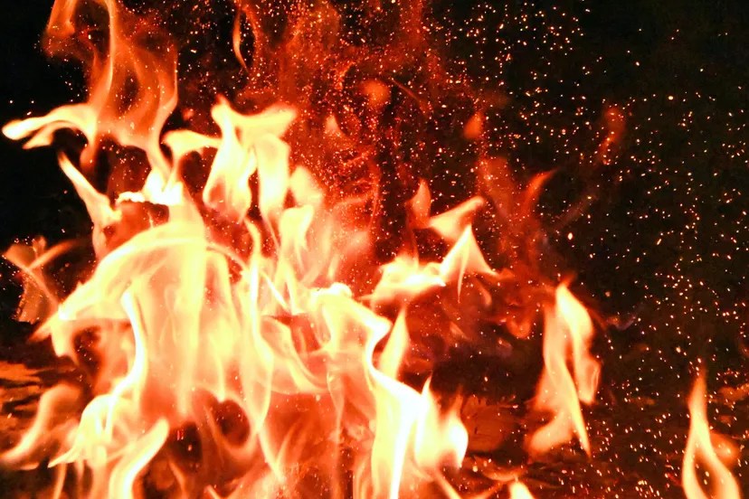 pexels adonyi gbor 1558916 e1597140075774