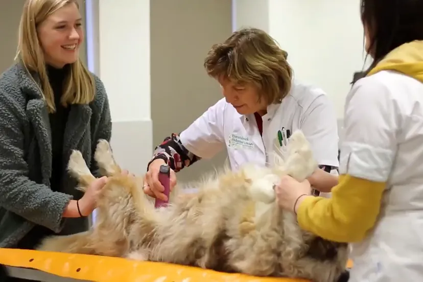 schermafdruk 2021 07 05 092225