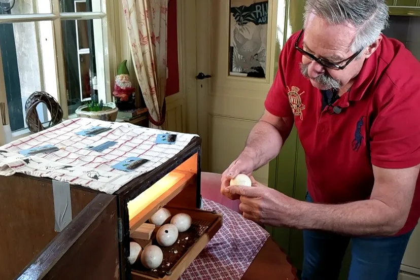 screenshot 20190516 121259