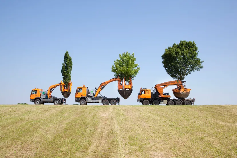 verplantingsmachine1