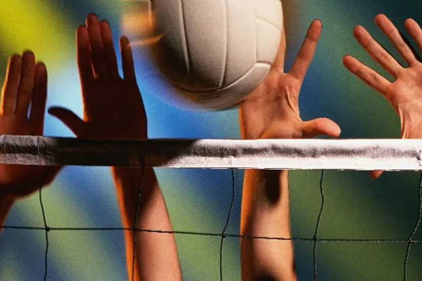 volleybalnet