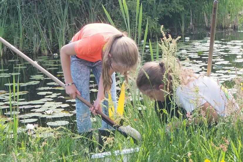 waterprojectmei2018 18c