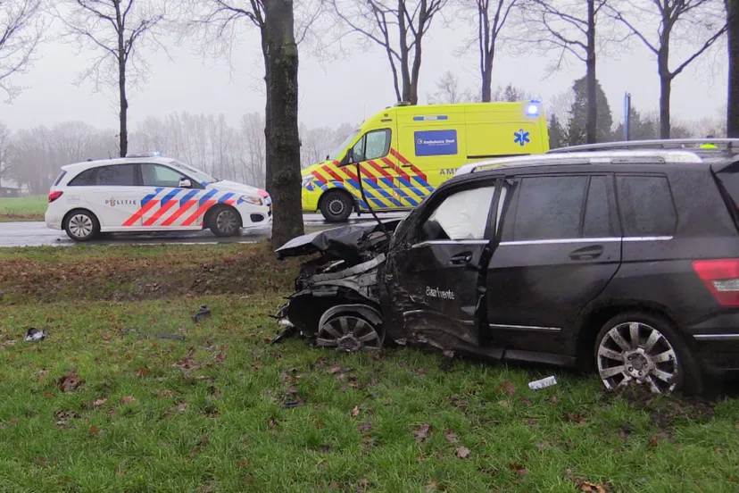 whatsapp image 2019 01 13 at 150252