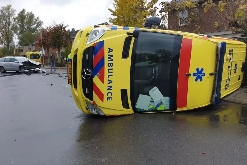 whatsapp image 2019 11 07 at 142925