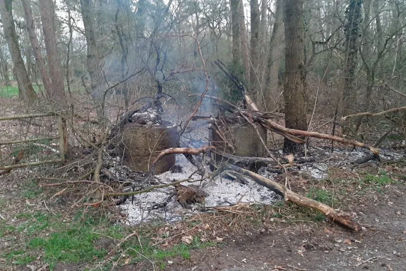 whatsapp image 2021 04 01 at 203516