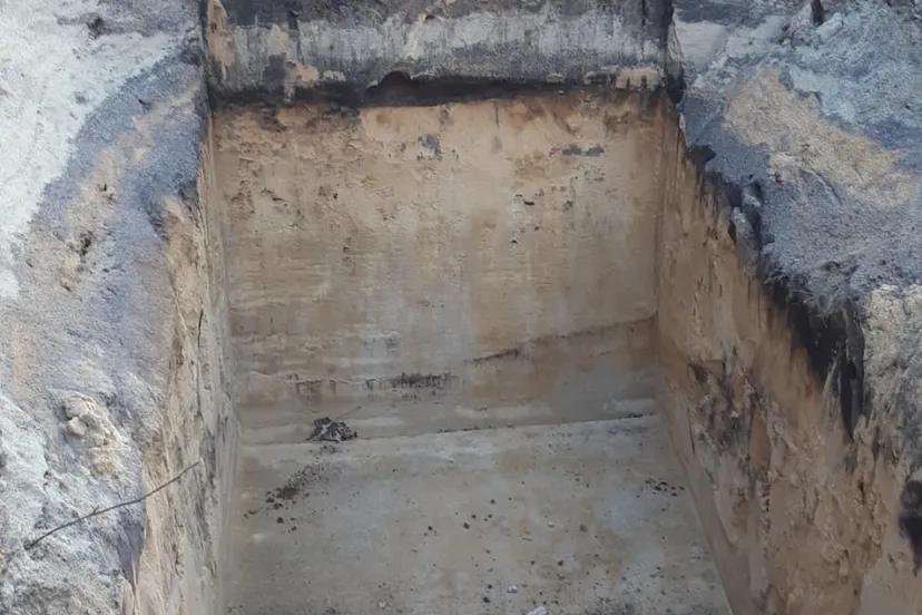 whatsapp image 2021 09 29 at 093404