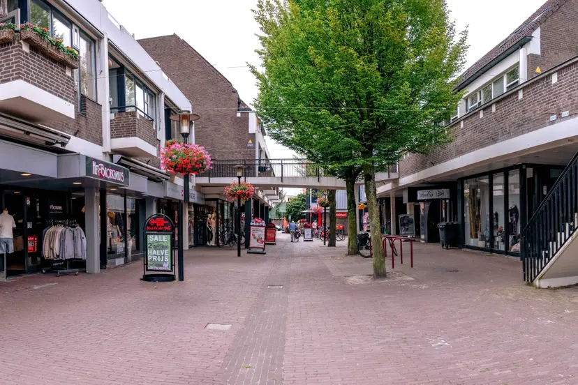 De Brink Losser