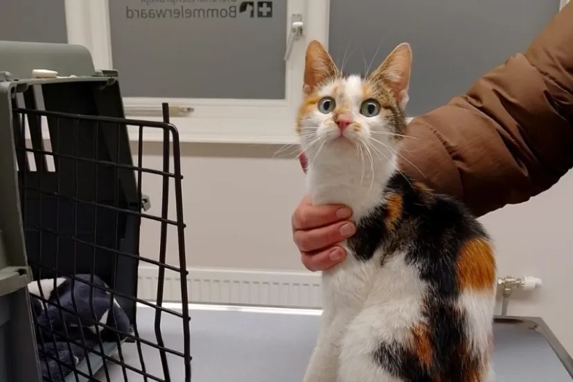 Scherm­afbeelding 2025-12-22 om 13.18.16