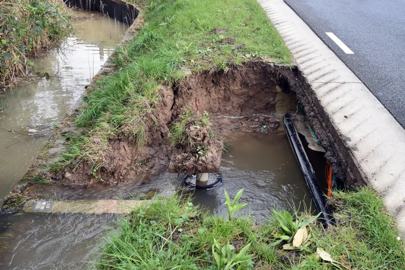 04a2ac4e-87f1-4ab9-a4b3-c5f8e6f4df9c