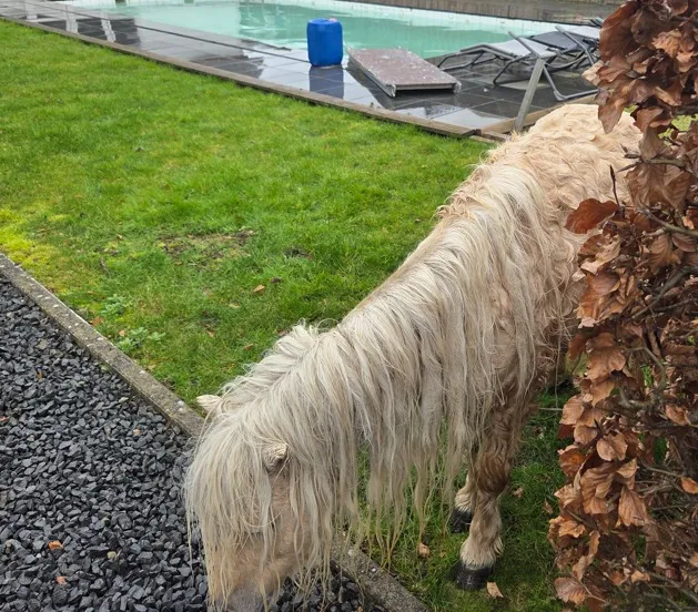 Scherm­afbeelding 2026-03-02 om 09.34.43