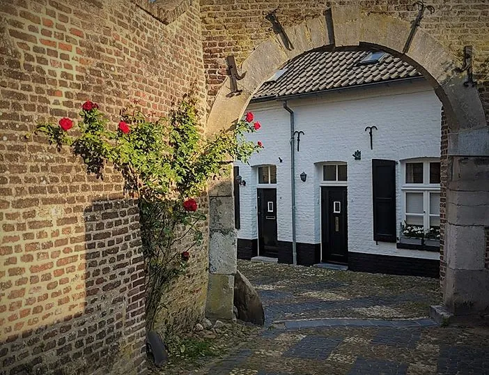 116358256 1636312656533427 1517062043699652119 o