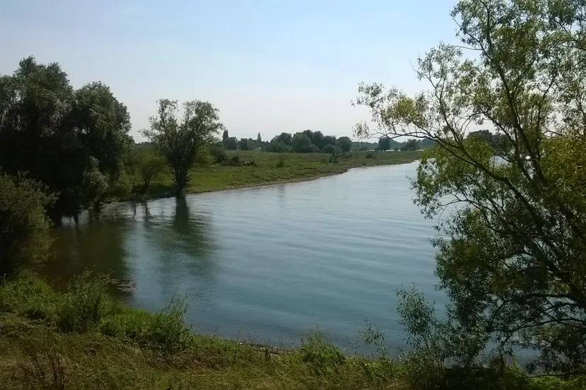 11907841 10204530907824456 7274407049770139962 o