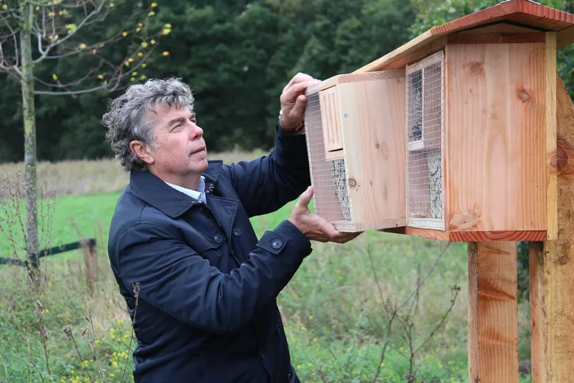 120613300 3254490787996743 7931189248072121195 o