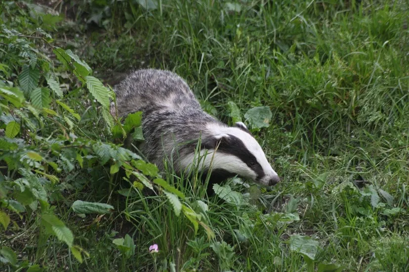 131906939 3463971020382051 1091671127412512342 o