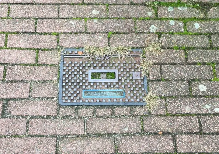 151381368 1328650300853059 5758598296158297973 o