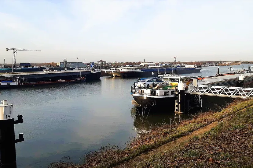 166315005 890600235052285 4959801430759824023 n