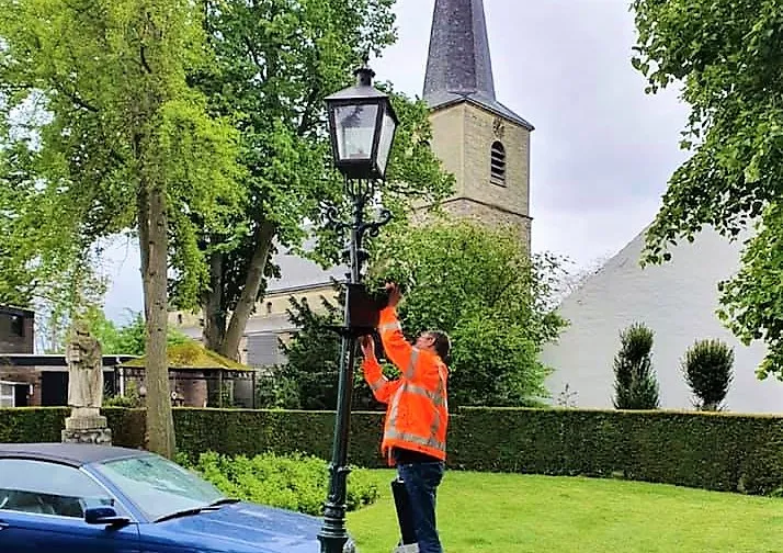 187385499 2922671911311007 7567660476939674900 n